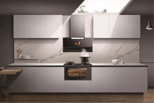 對(duì)話方太陳浩 為用戶構(gòu)筑全場(chǎng)景健康廚房新生態(tài)