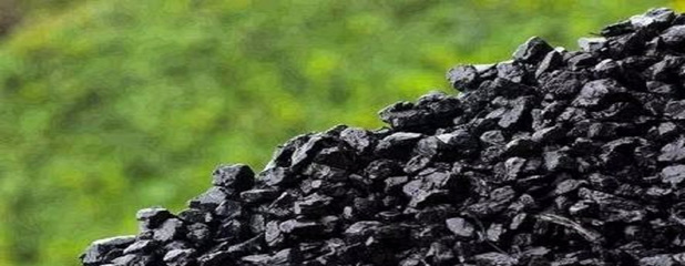 直擊爭議 老局長觀點(diǎn)存偏，煤炭化工轉(zhuǎn)型引領(lǐng)清潔能源新路徑